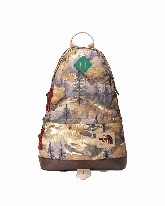 Gucci x The North Face 2021 - подробности релиза коллекции