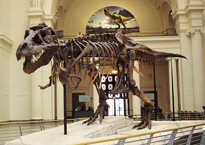 Среди знаменитостей растет тренд на останки динозавров